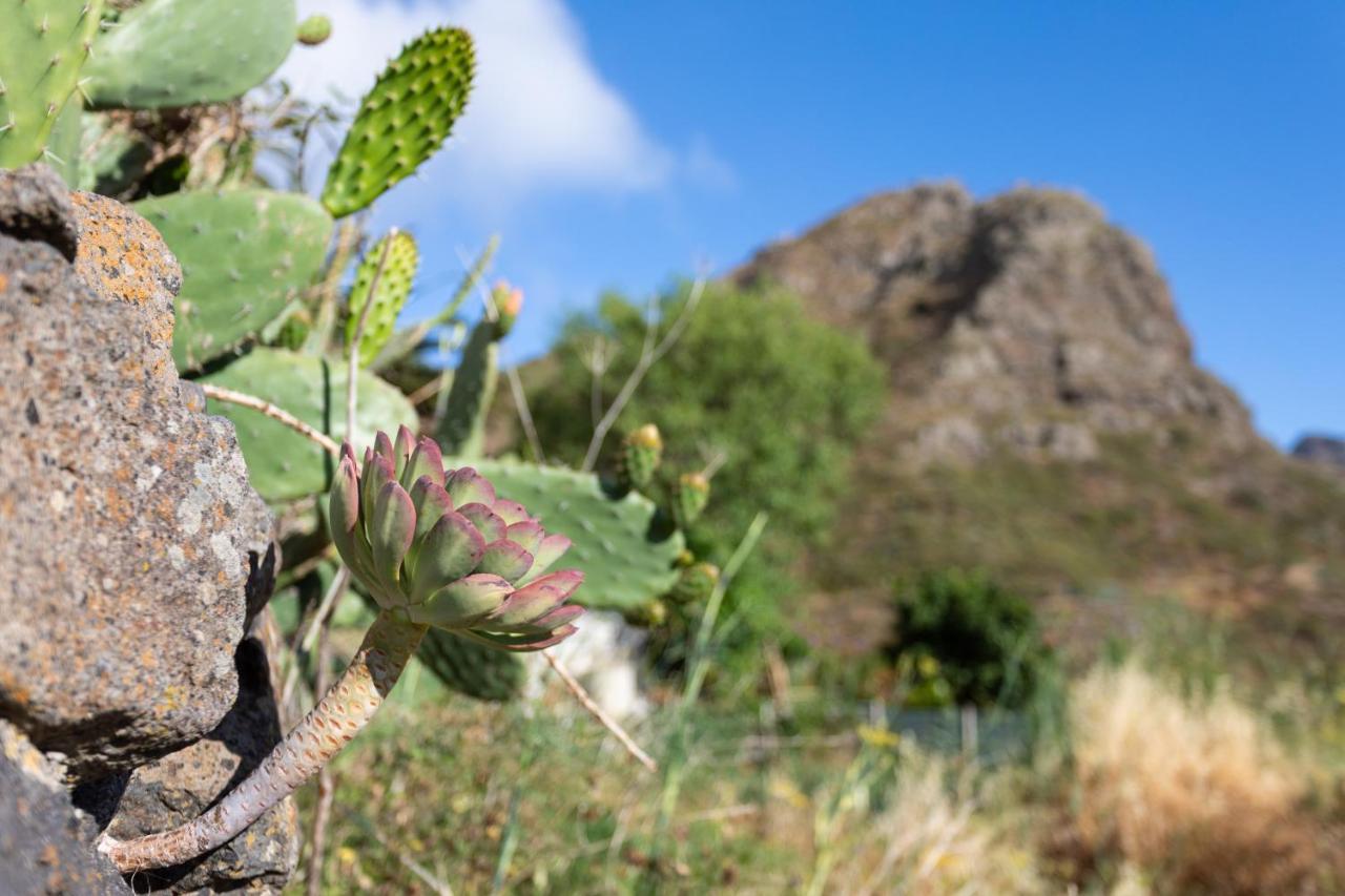 Home2Book Nature Carrizales And Masca House & Wifi Buenavista Del Norte Esterno foto
